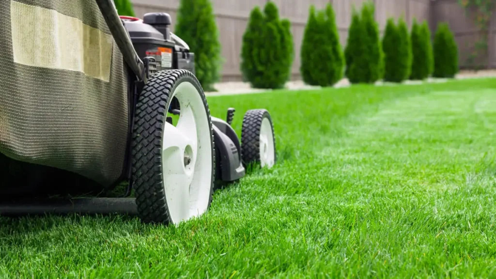 photo of the first lawn mowing of the spring season